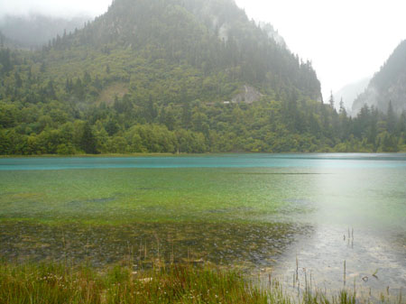 P1030378