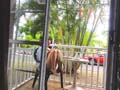 DSC00336