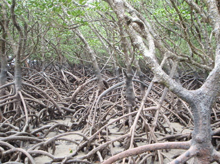 images_006