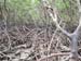 images_006